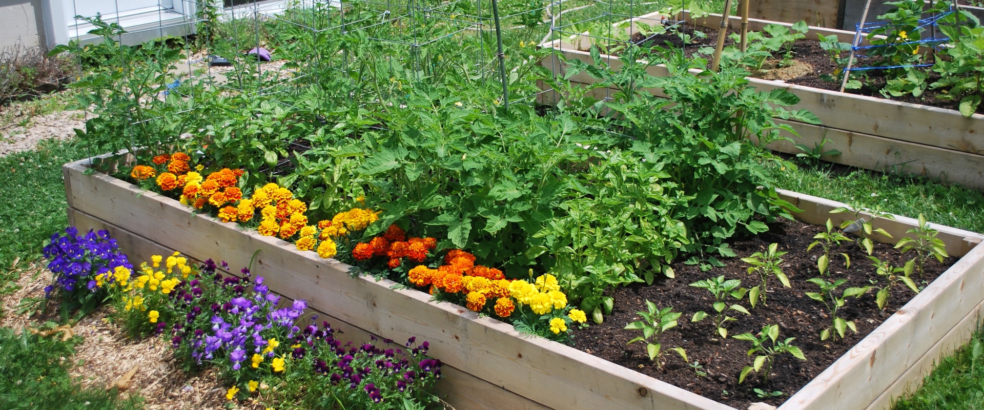 Choisir le bon emplacement pour votre potager