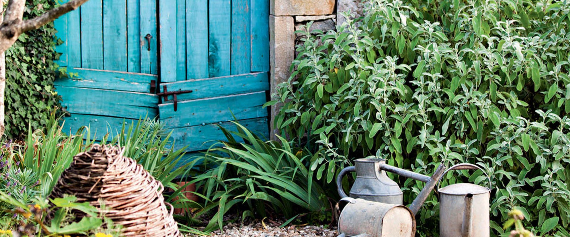 Choisir les bonnes plantes pour la conception ou l'aménagement de votre jardin