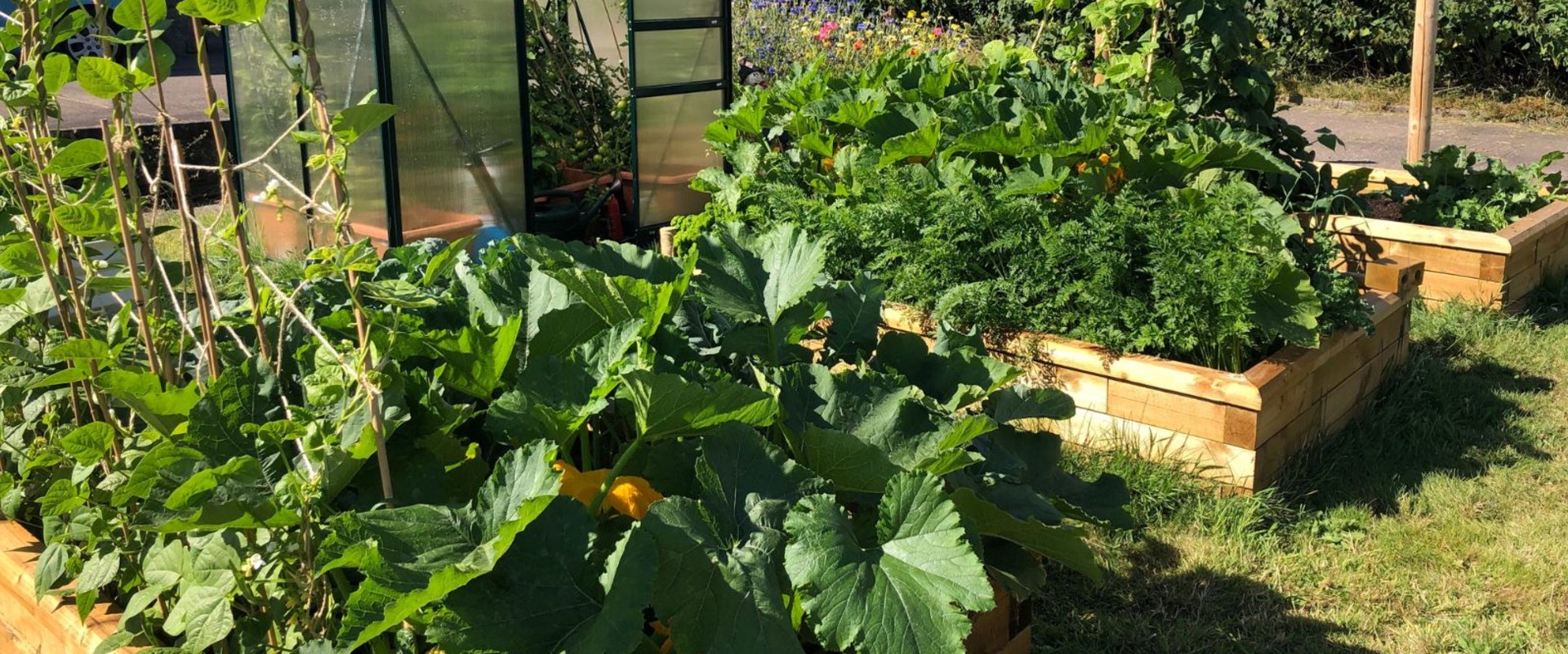 Fournir suffisamment d'eau, de lumière, d'engrais et d'entretien pour votre jardin