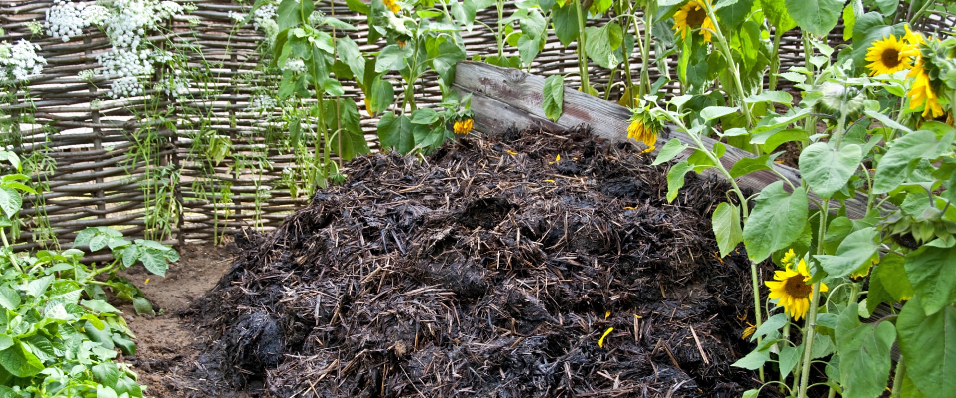 Engrais organiques pour jardins