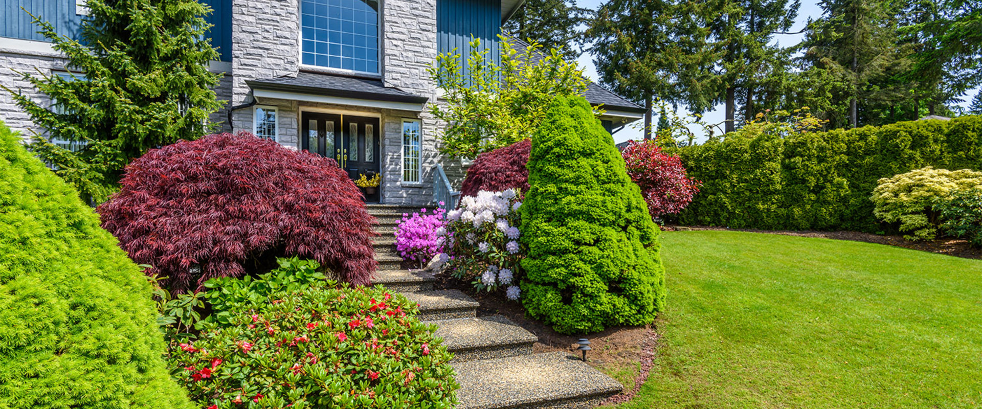 Comment sélectionner les bons arbustes pour votre jardin