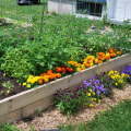 Choisir le bon emplacement pour votre potager