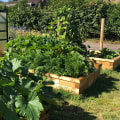 Fournir suffisamment d'eau, de lumière, d'engrais et d'entretien pour votre jardin