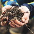Matière organique : ajouter du compost à votre sol