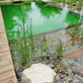 Création de plans d'eau naturels