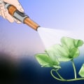 Tester les niveaux de pH et les nutriments du sol : tout ce que vous devez savoir