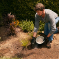 Entraîner les vignes et les plantes grimpantes : un guide d'entretien du jardin