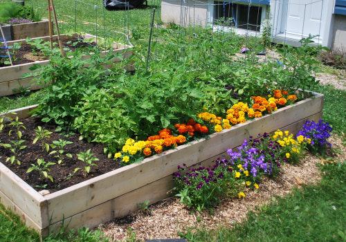 Choisir le bon emplacement pour votre potager