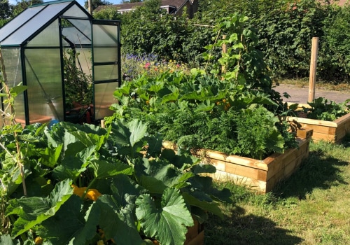 Fournir suffisamment d'eau, de lumière, d'engrais et d'entretien pour votre jardin