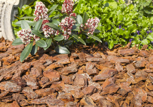 Utiliser du paillis pour lutter contre les mauvaises herbes