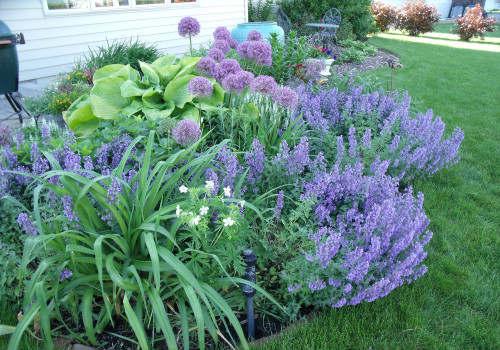 Choisir la bonne palette de couleurs pour votre jardin de fleurs