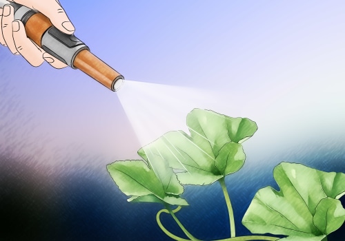 Tester les niveaux de pH et les nutriments du sol : tout ce que vous devez savoir